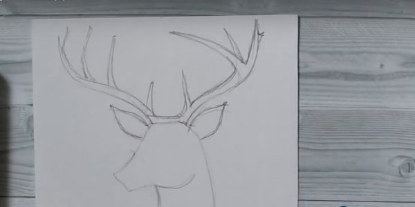 Олень на окне рисунок гуашью