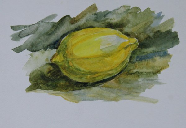 Этюды фруктов и овощей акварелью