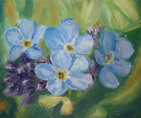 Незабудка цветок красками