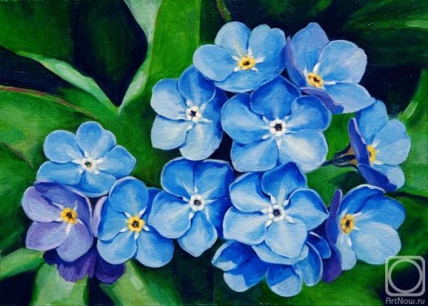 Незабудки в живописи