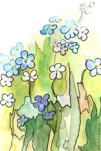 Незабудка рисунок акварелью