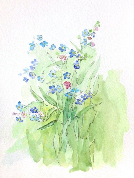 Незабудки акварелью