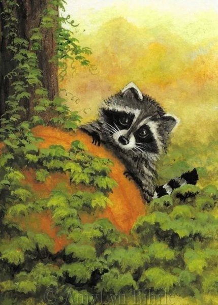 Правополушарное рисование енот