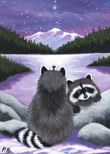 Енот гуашью