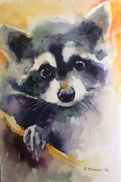 Еноты в живописи акварель