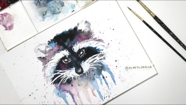 Енот акварельными карандашами