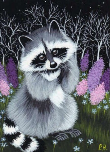 Граттаж енот