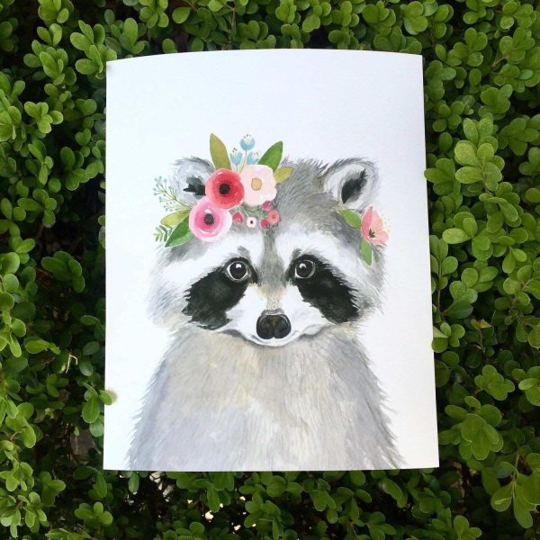 Енот рисунок