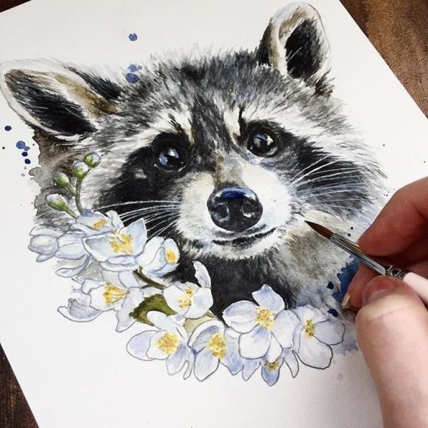 Енотик акварель