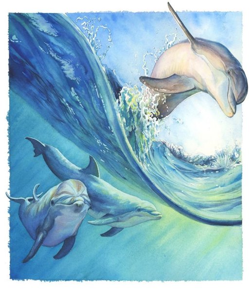 Дельфины волна гуашь