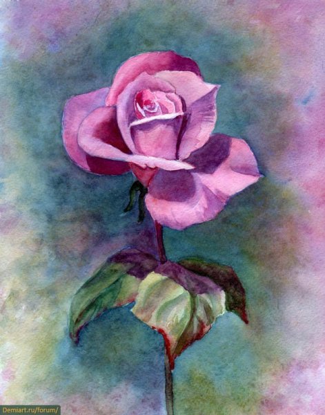 Розы гуашью для начинающих