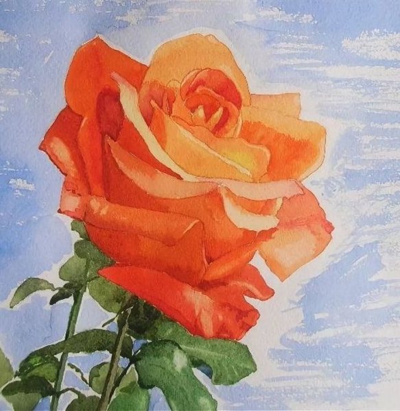 Роза рисунок гуашью