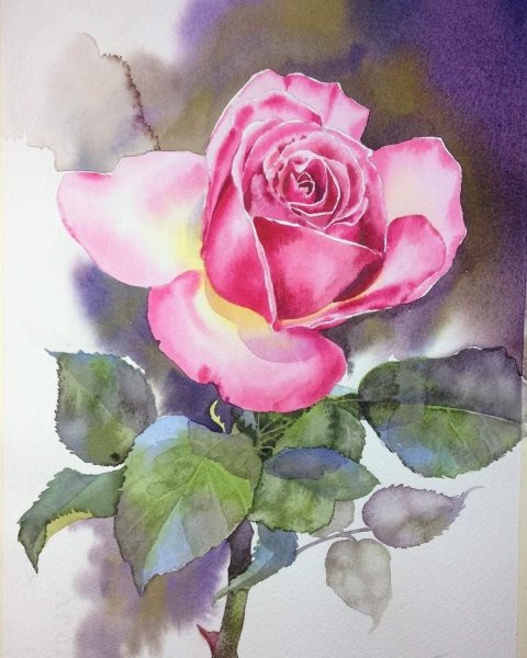 Рисование розы акварелью