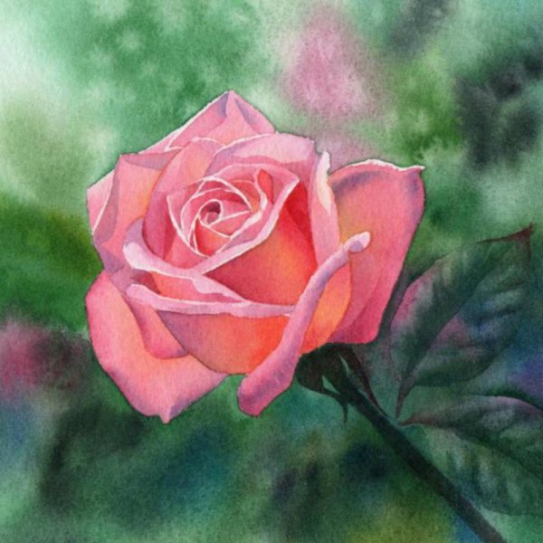 Розы гуашью