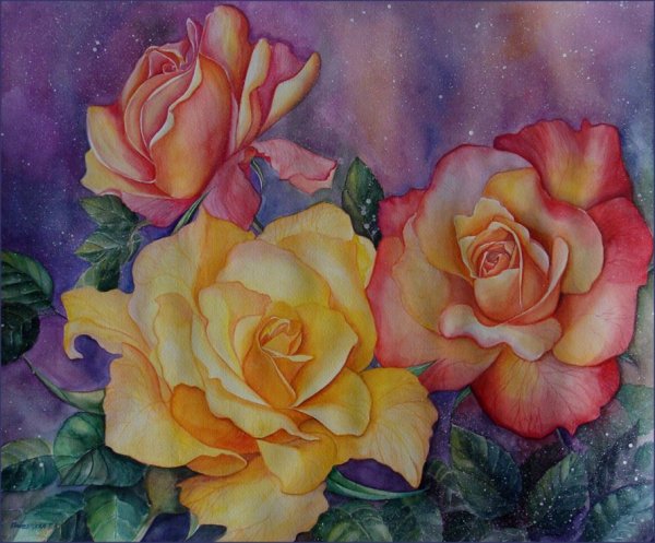 Роза акварель