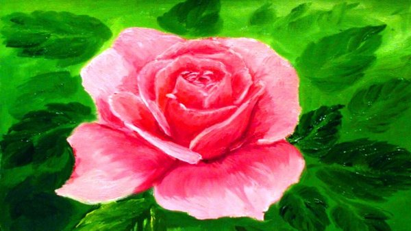 Роза акварель