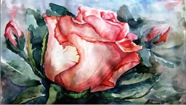 Розы гуашью для начинающих