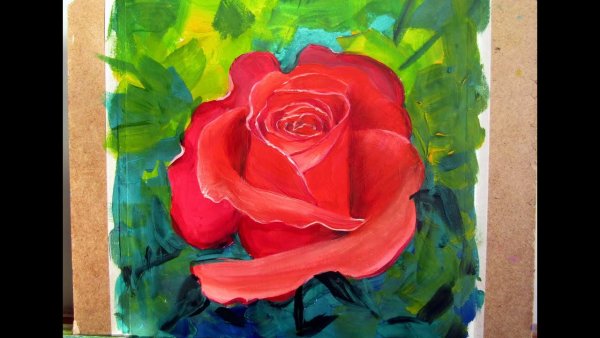 Роза акварелью для начинающих