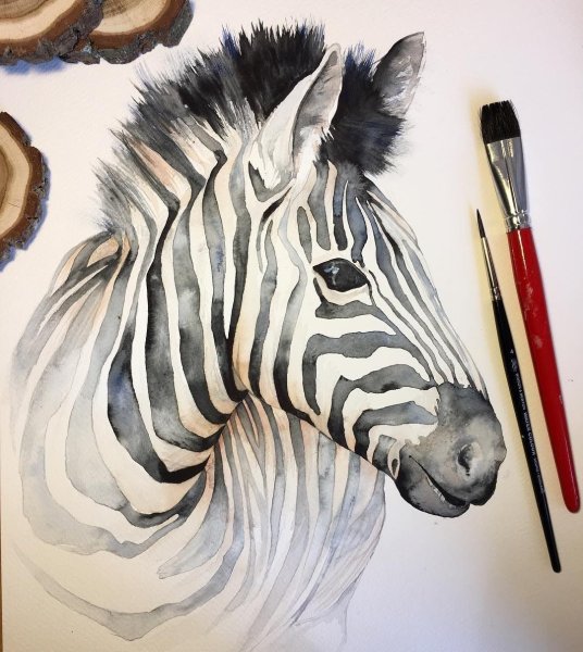 Зебра пастелью