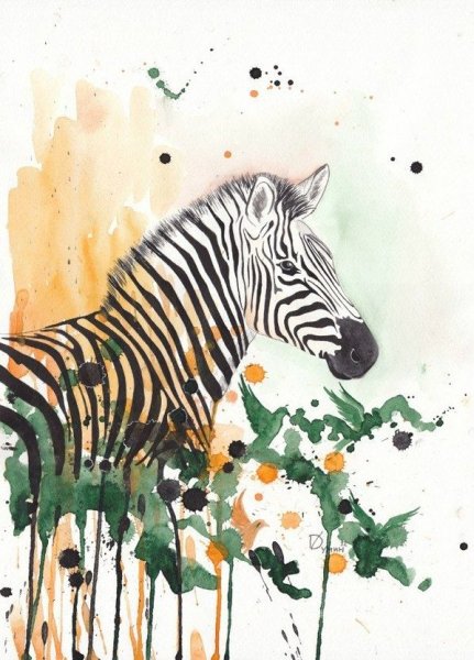 Зебра красками
