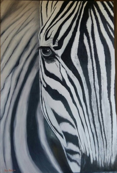 Картина глаз зебры