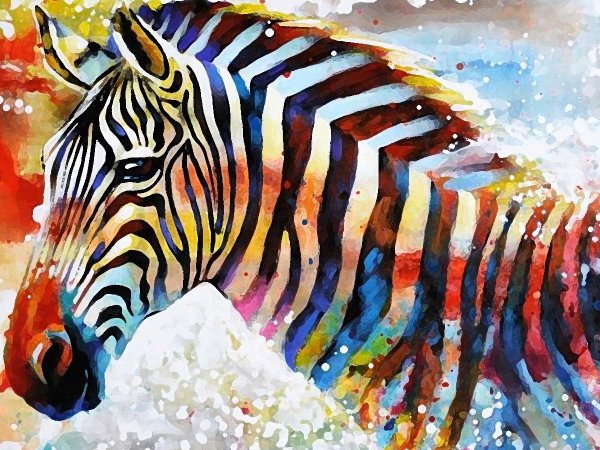 Радужная Зебра