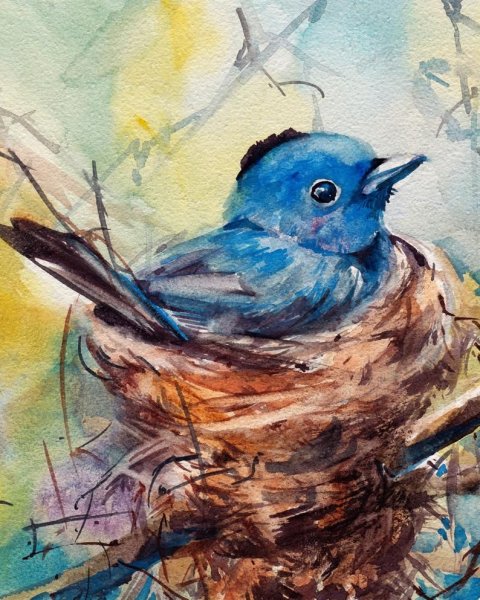Птицы живопись акварель