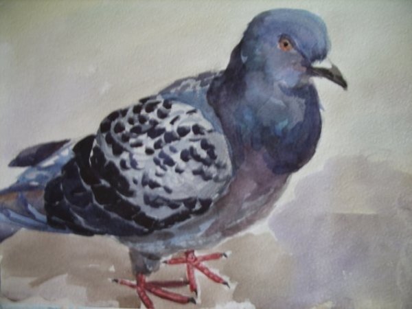 Рисование красками голубей