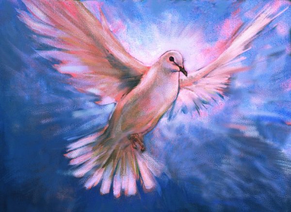 Белый голубь гуашью