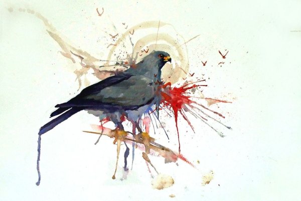 Голуби в полете акварель