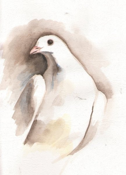 Голубь мира живопись