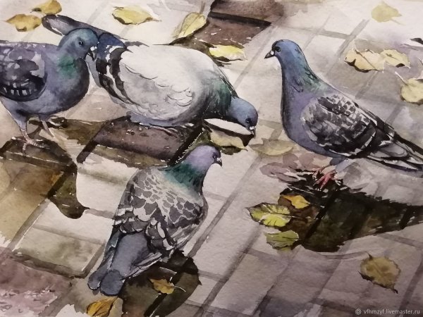 Голубь в пейнте