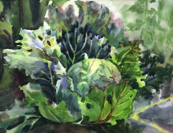 Художник Сухоруких капуста