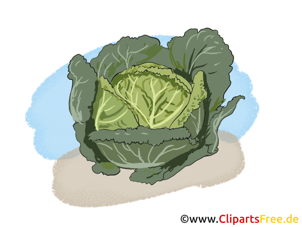 Капуста в мешке рисунок для детей