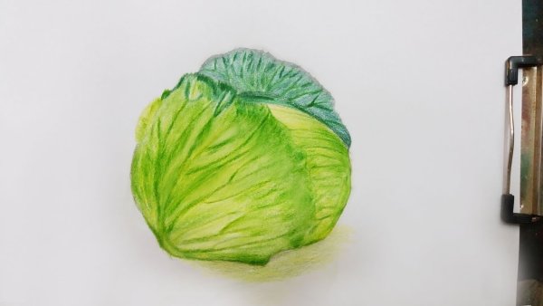Капуста рисунок красками