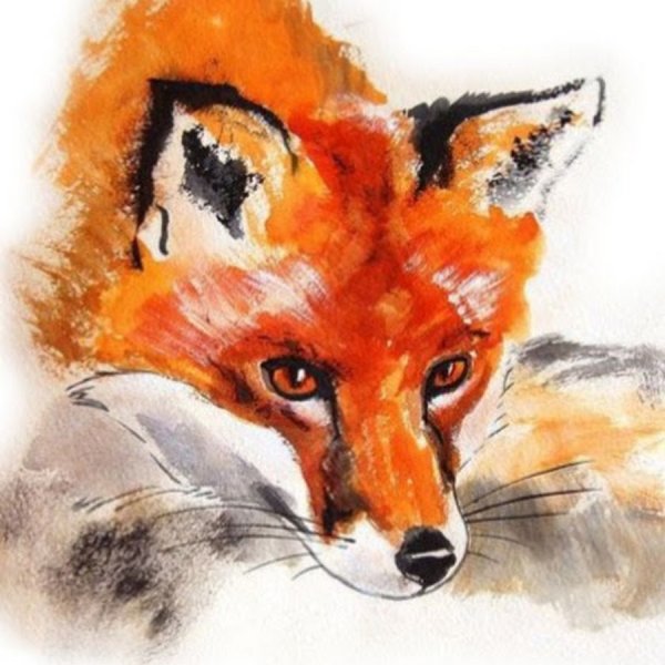 Лисы арт
