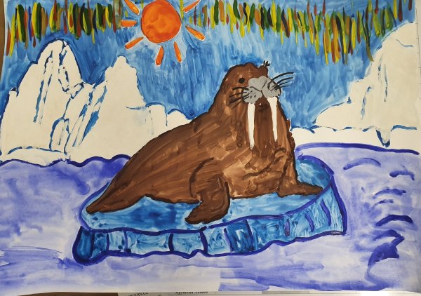 Нарисовать Лаптевский морж