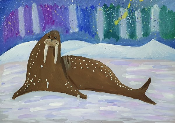 Морж в Арктике рисунок