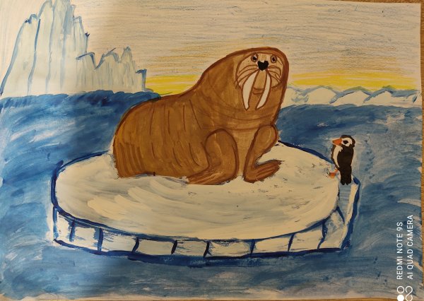 Морж гуашью