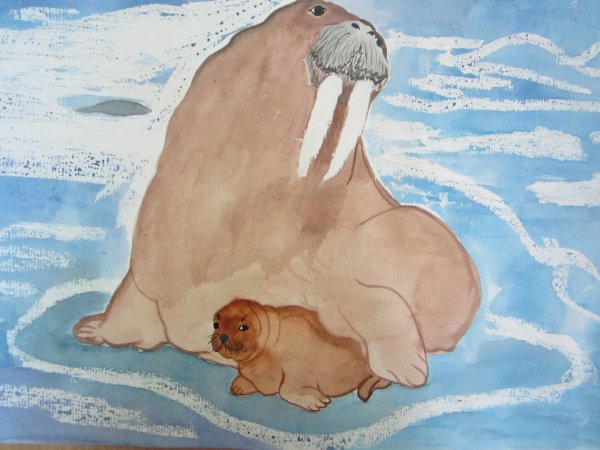 Бианки моржиха