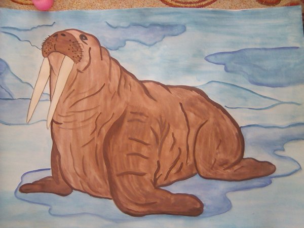 Рисование животные севера