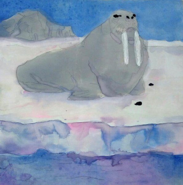 Морж гуашью