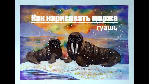 Моржи рисунок гуашью
