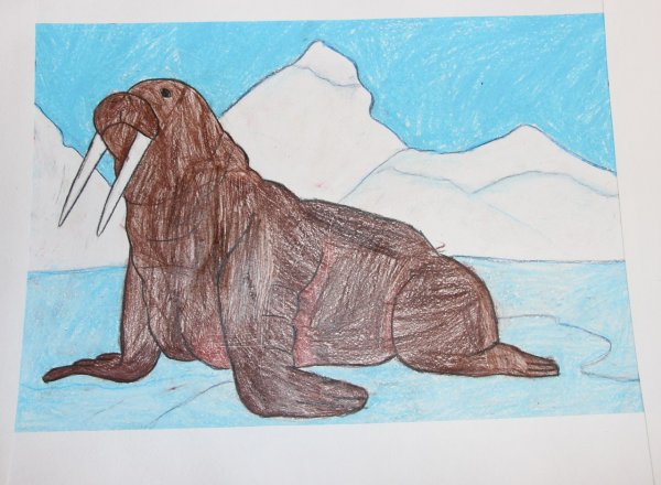 Морж Терентий