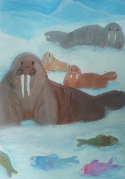 Рисование морж