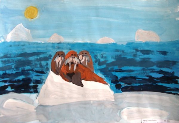 Рисование морж