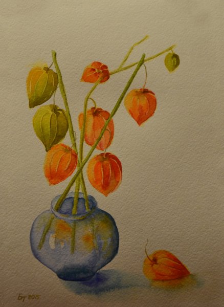 Ветка физалиса акварель