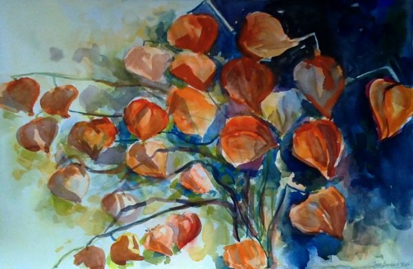 Физалис. Роберт Фальк