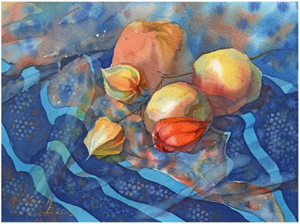 Натюрморт с физалисом акварель