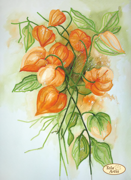 Физалис акварелью